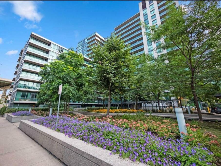 Cn Tower View With Free Parking, Pool, & More Amenities Toronto Luaran gambar